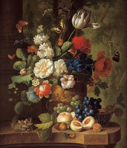Flores
